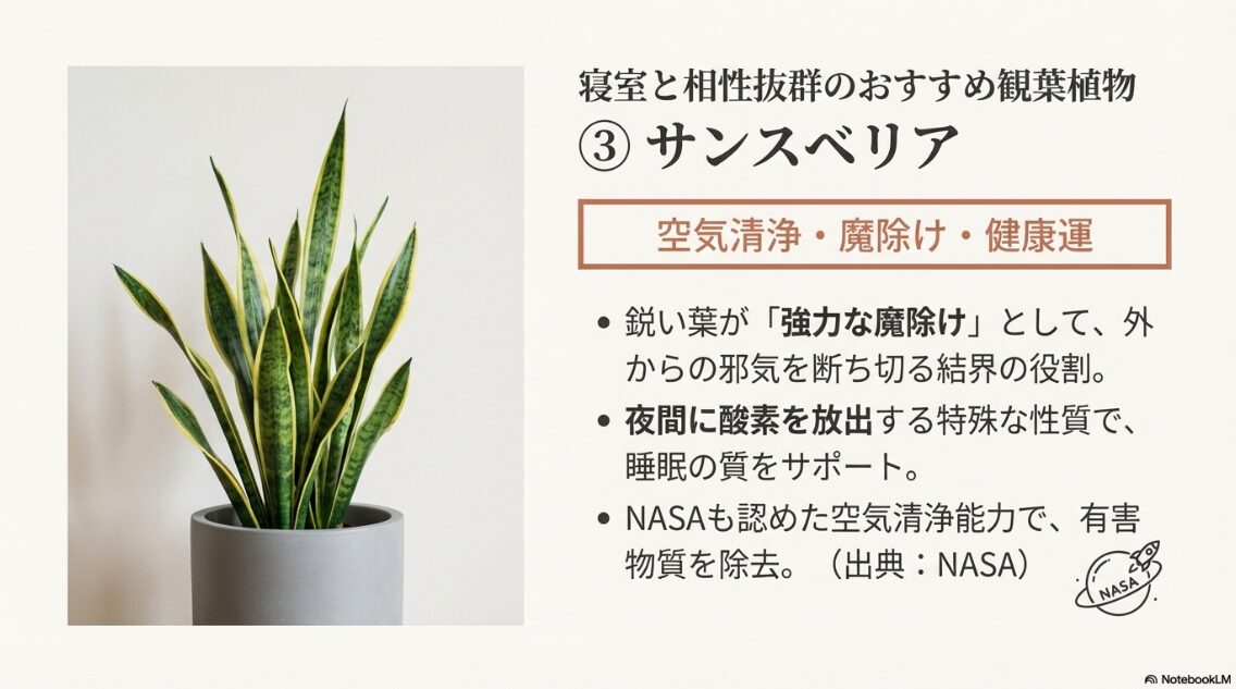 空気清浄能力と魔除け効果が高い観葉植物「サンスベリア」の写真と、NASAの研究言及