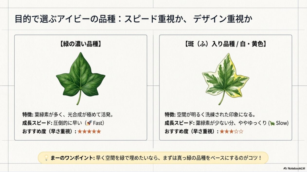 緑の濃い品種（成長が早い）と斑入り品種（成長がゆっくり）を比較し、早く緑を増やしたい場合は真っ緑の品種をベースにするようアドバイスするスライド。