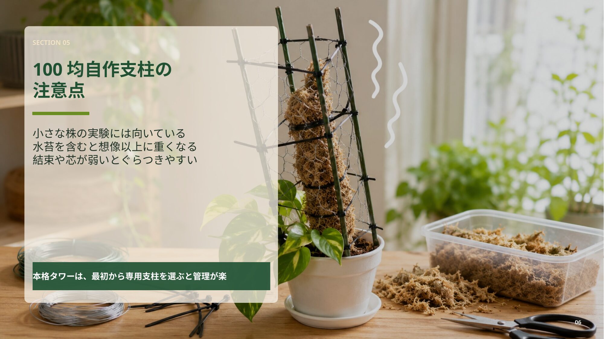 100均材料でポトス支柱を自作する際の強度やぐらつきの注意点を説明するスライド