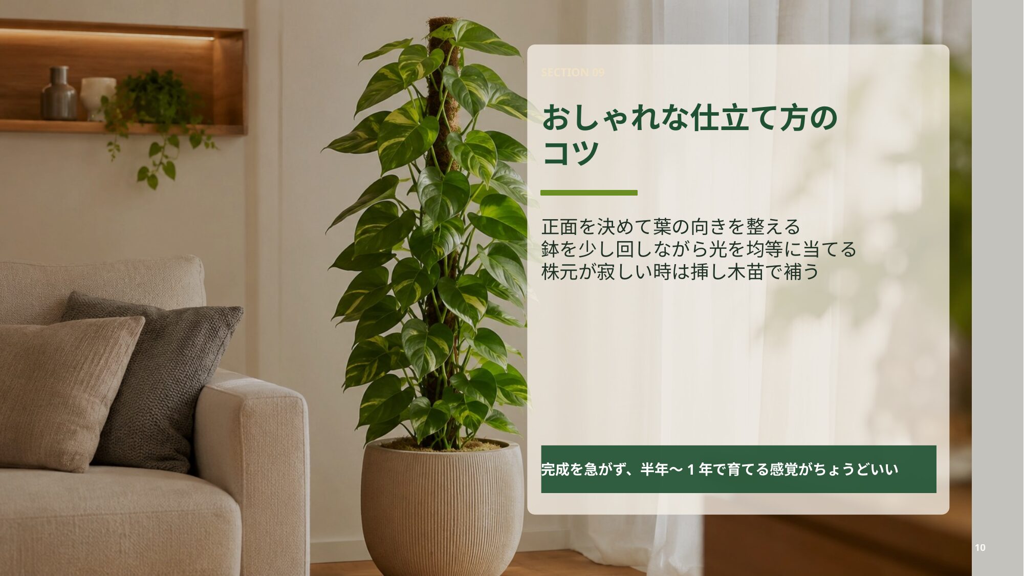 室内でポトスタワーをおしゃれに見せる葉の向きや鉢カバー選びをまとめたスライド