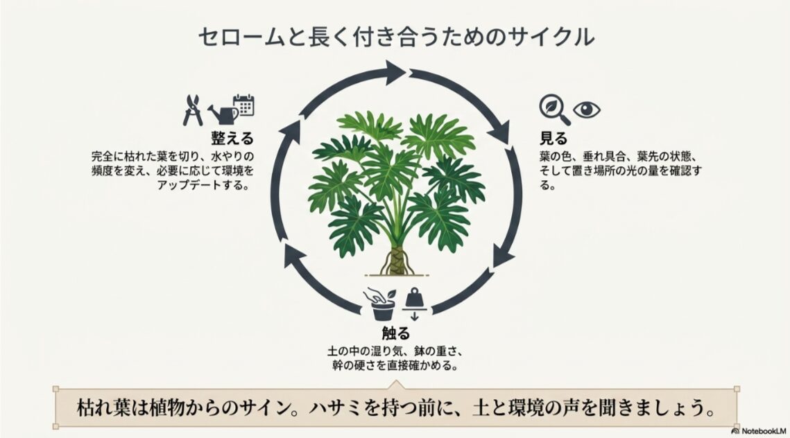 セロームの葉や土、根元を見て触り、必要に応じて整える管理サイクルを示したまとめ図