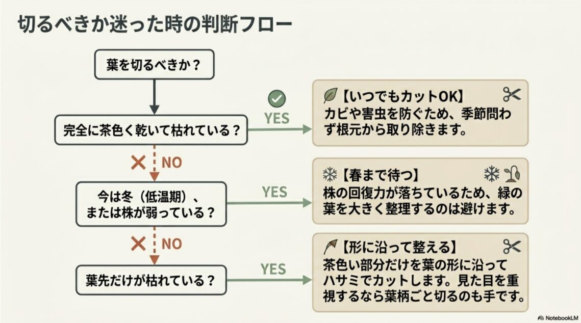 セロームの枯れた葉を切るべきか迷った時に確認する判断フロー図