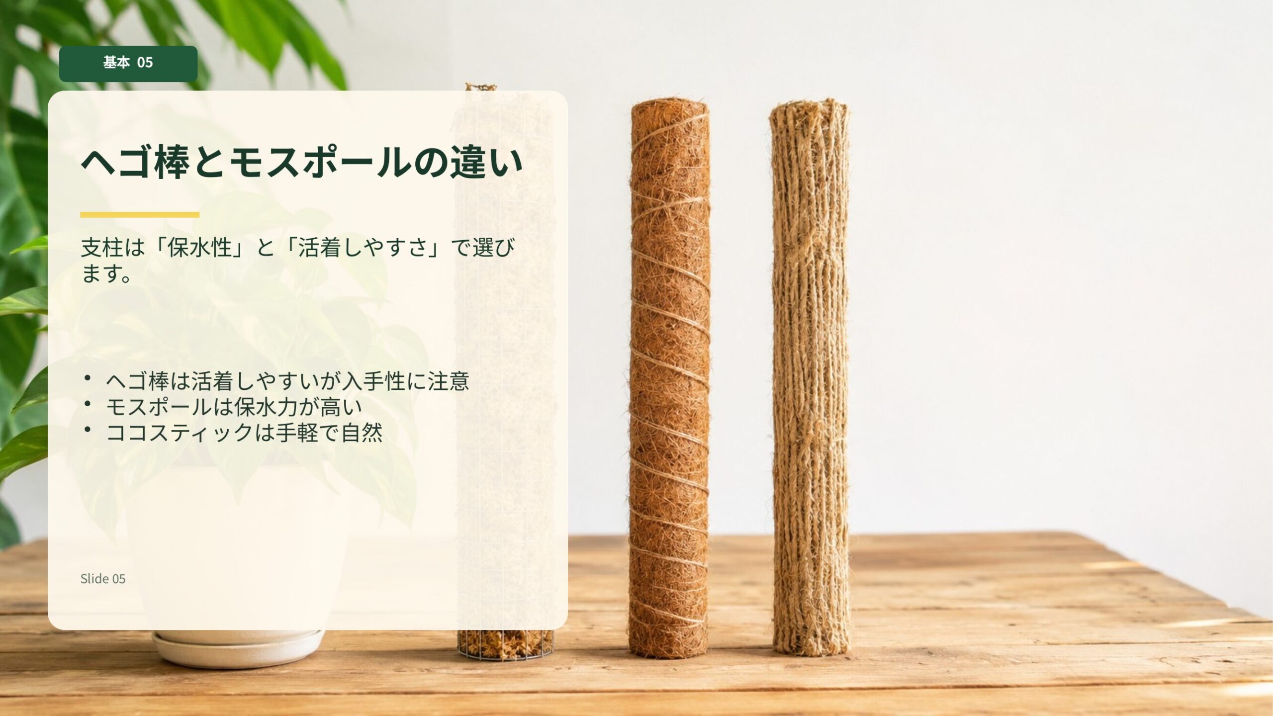 ポトスの支柱に使うヘゴ棒やモスポールなどの素材を比較するイメージ