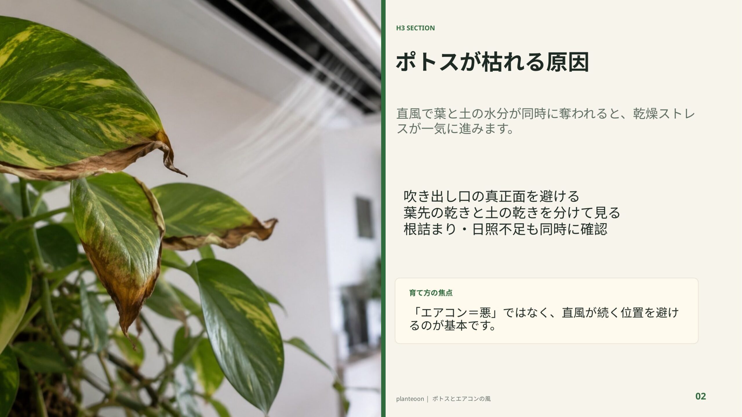 エアコンの風で葉先が乾燥したポトスを示し、直風による乾燥や根の不調を解説するスライド