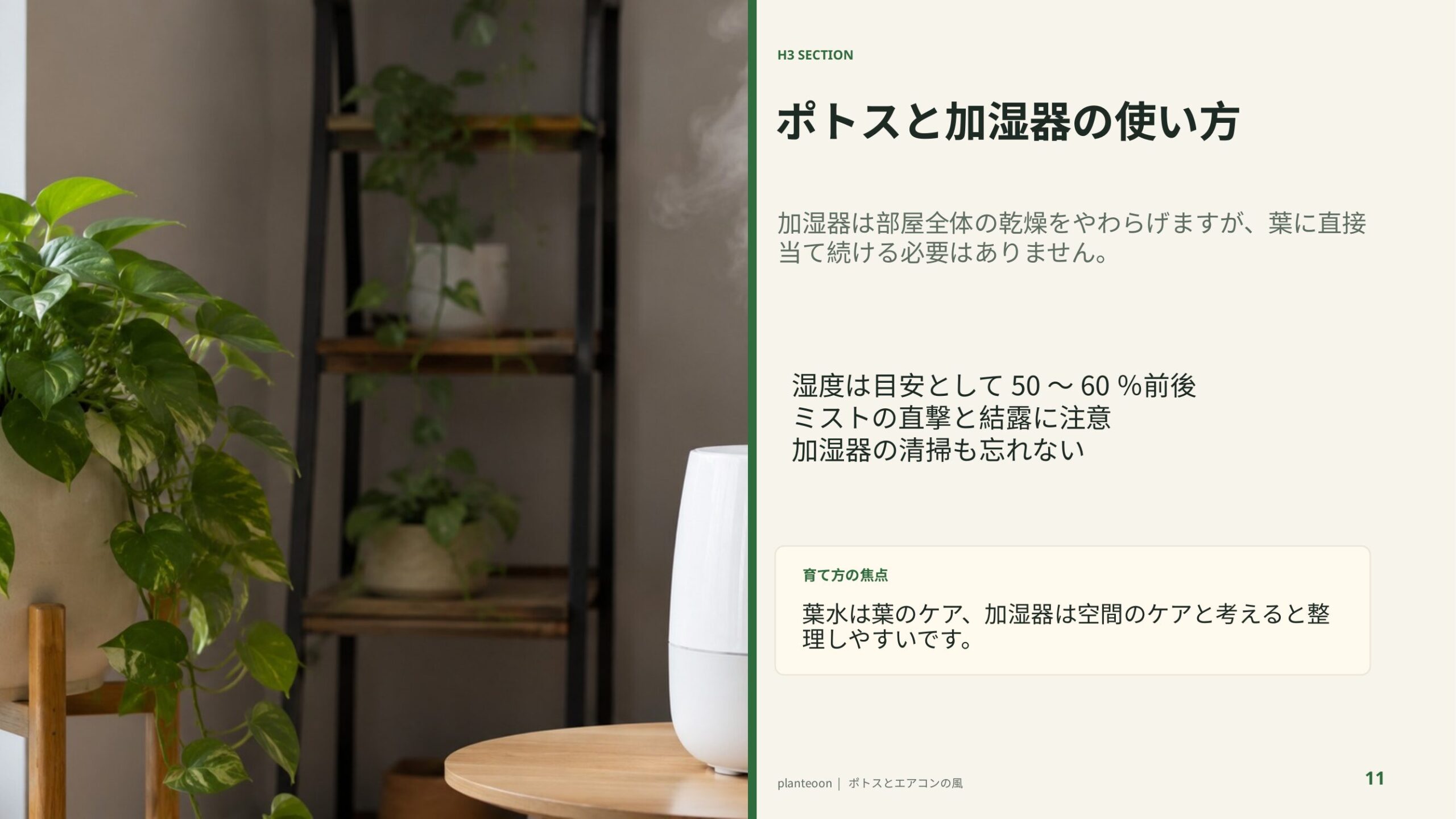ポトスの近くで加湿器を使う室内風景を背景に、湿度管理とミスト直撃を避ける注意点を示したスライド