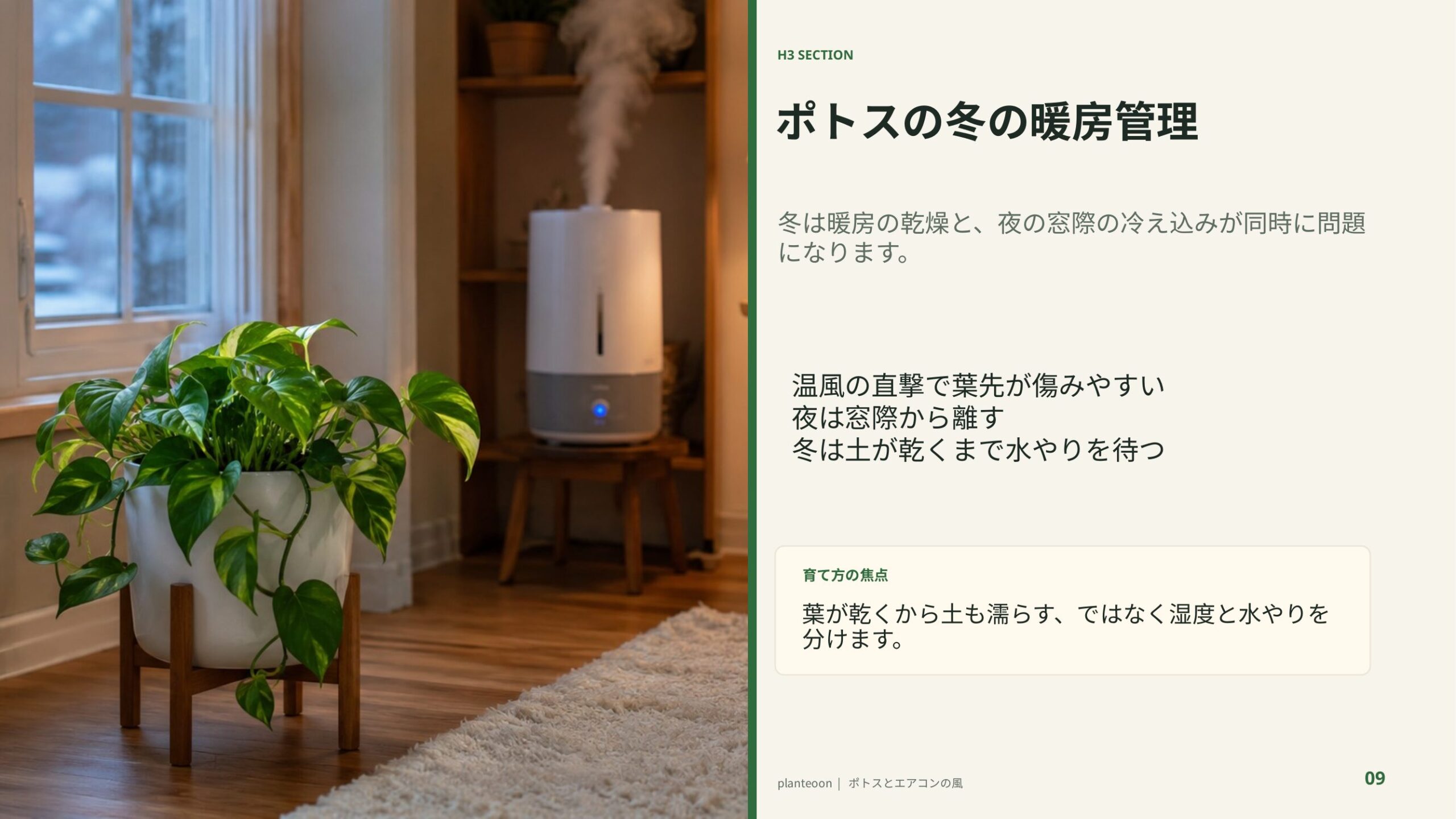 冬の窓際と加湿器のある室内で育つポトスを背景に、暖房乾燥と夜間の冷え込み対策を解説するスライド