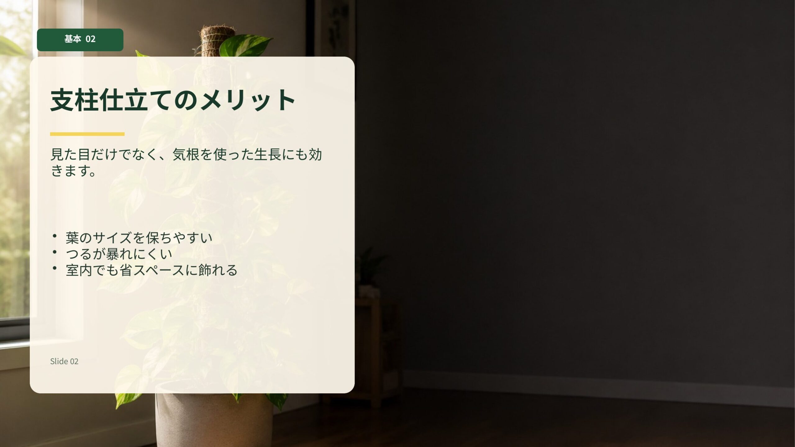 ポトスを支柱仕立てにすることで葉を保ちやすく室内でも管理しやすい様子