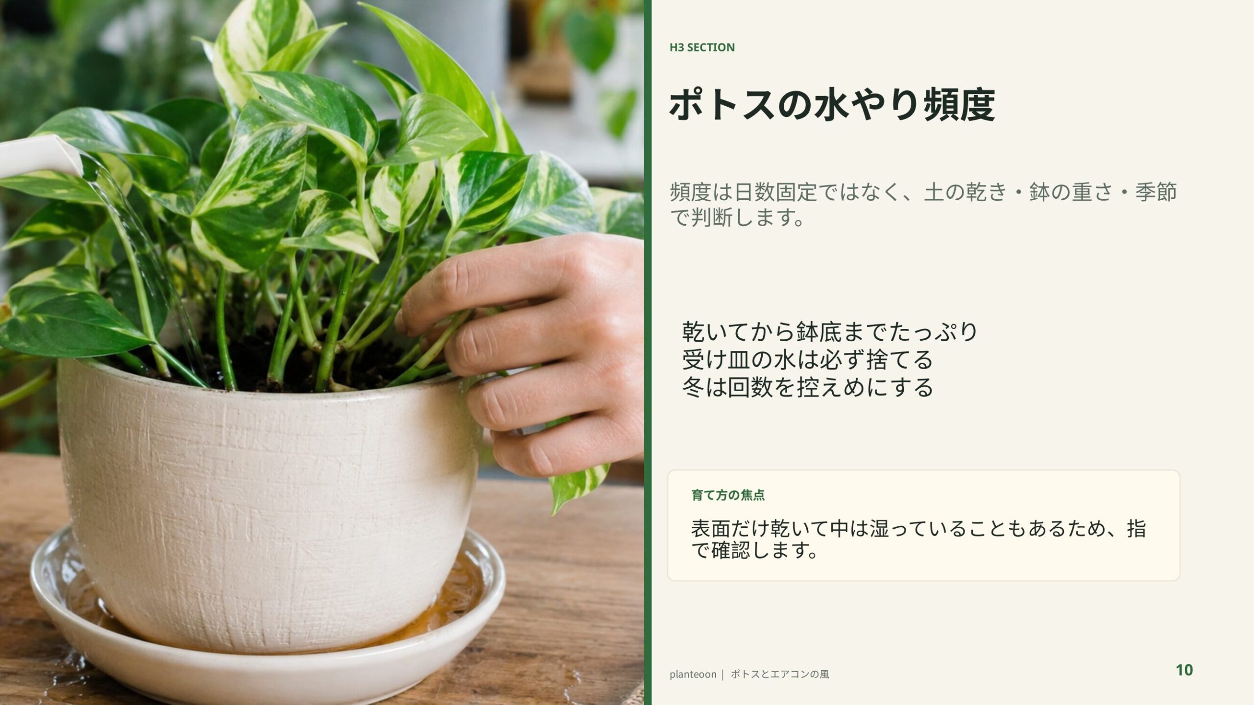 ポトスの鉢土を手で確認しながら水やりのタイミングを見極める様子を示したスライド