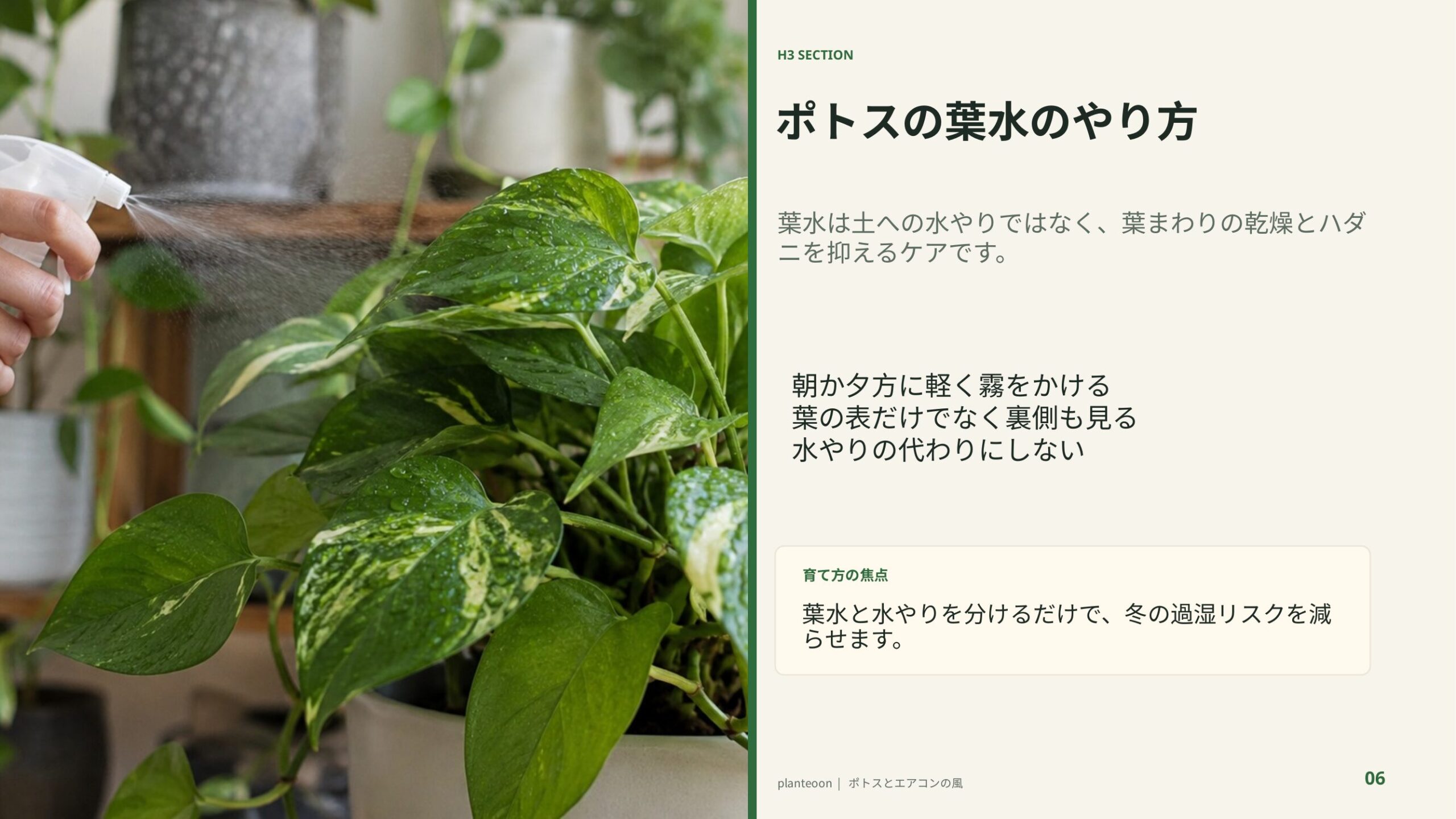 霧吹きでポトスの葉に葉水をしている様子を背景に、葉裏まで湿らせるコツを示したスライド