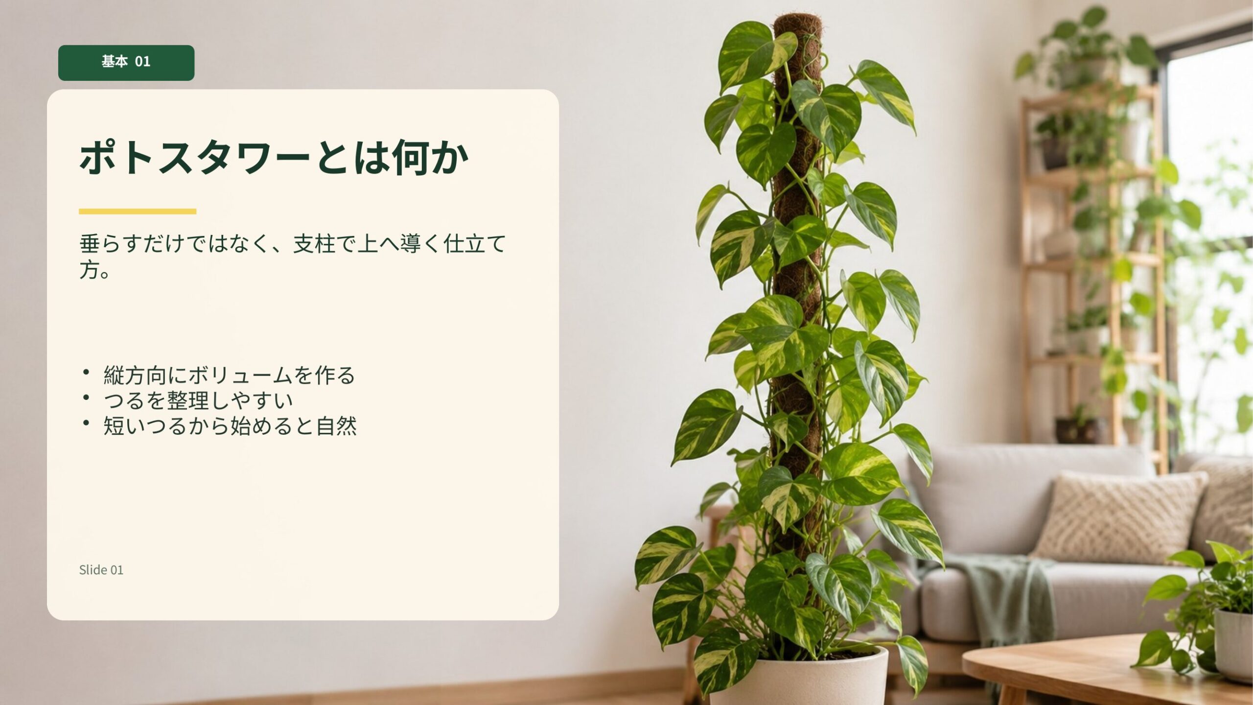 ポトスを支柱に沿わせて上方向へ育てるポトスタワーの基本イメージ
