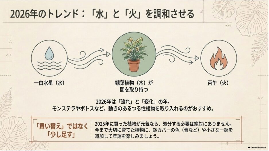 2026年の一白水星の水と丙午の火を観葉植物の木で調和させる風水の考え方