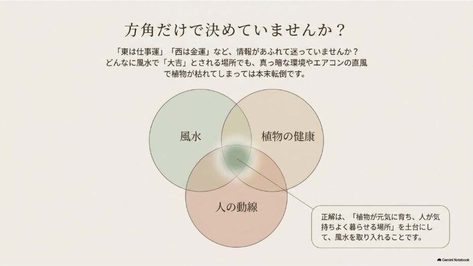 観葉植物の風水・植物の健康・人の動線の3つを重ねて置き場所を考える図