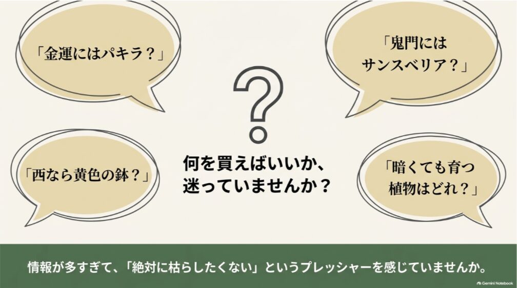 金運のパキラ、鬼門のサンスベリア、方角や暗い玄関など観葉植物選びの疑問