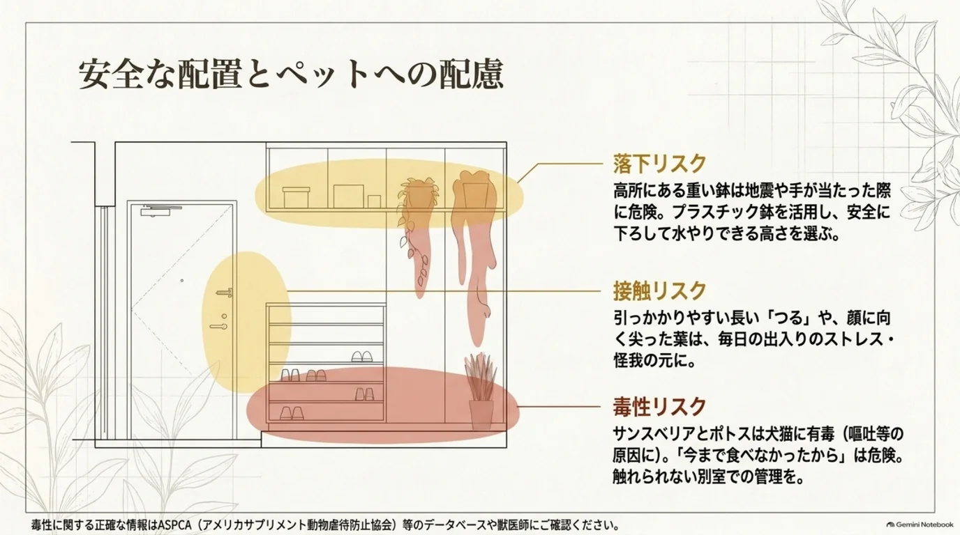 玄関の配置図に、棚上の鉢の落下、長いつるや尖った葉との接触、犬猫による有毒植物の誤食リスクを示した図