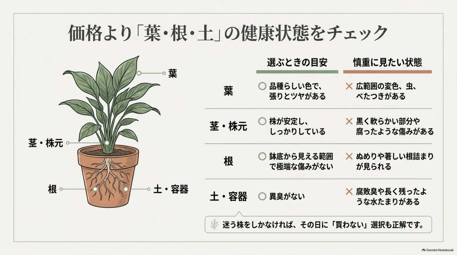 観葉植物の葉、茎と株元、根、土と容器について、健康な株を選ぶ目安と慎重に見たい状態をまとめた図