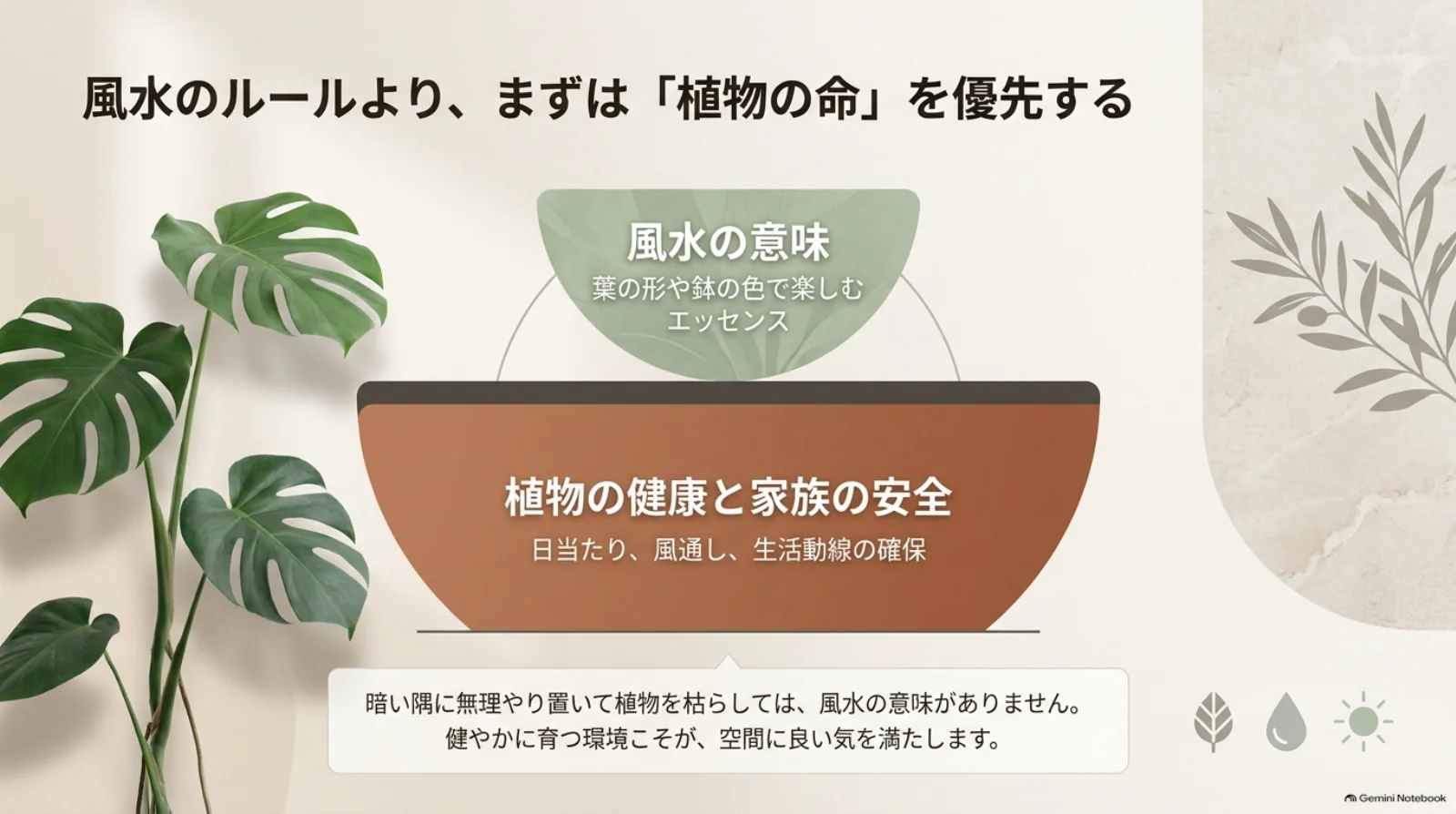 日当たり・風通し・生活動線による植物の健康と家族の安全を土台に、葉の形や鉢の色で風水を楽しむ考え方