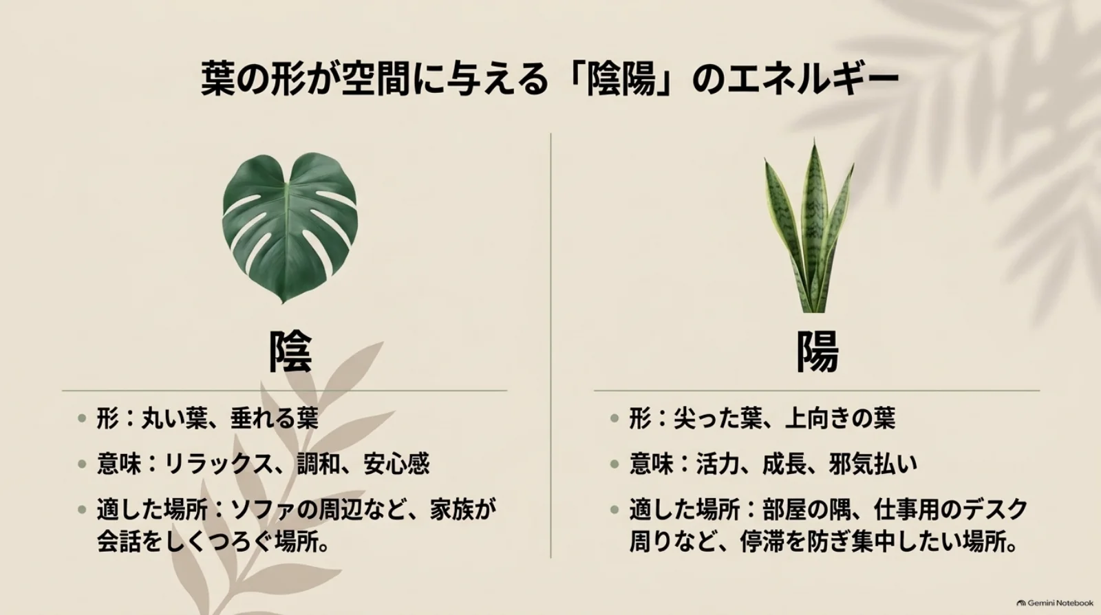 風水で落ち着きや調和を象徴する丸い葉・垂れる葉と、活力や成長を象徴する尖った葉・上向きの葉の比較