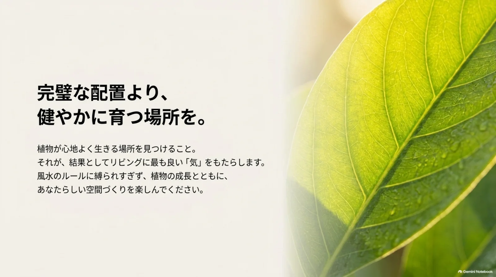 緑の葉の写真と、風水のルールに縛られすぎず植物が健やかに育つ場所を選び、成長に合わせて配置を楽しむメッセージ