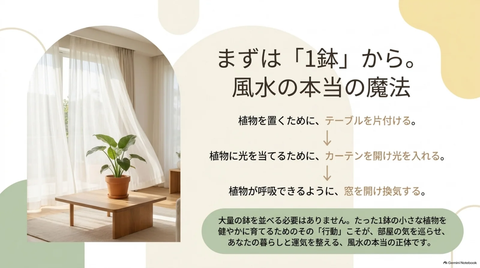テーブルを片付け、カーテンを開けて光を入れ、換気をしながら一鉢を健やかに育てる流れ