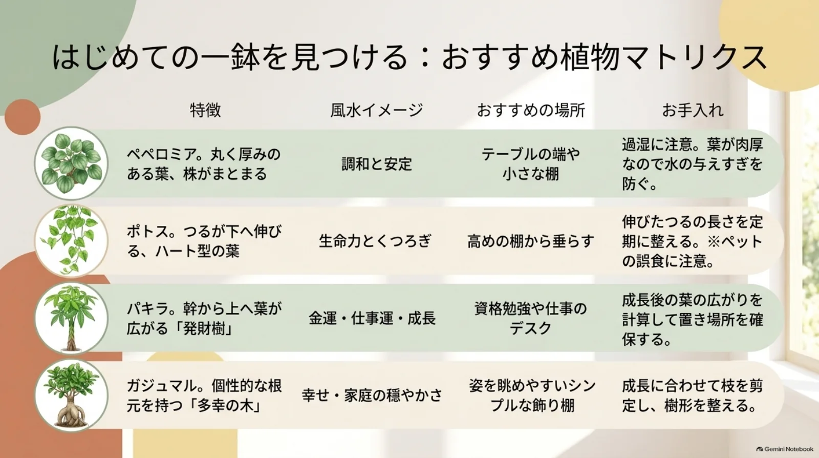 ペペロミア、ポトス、パキラ、ガジュマルの特徴、風水イメージ、おすすめの場所、お手入れを比較した表