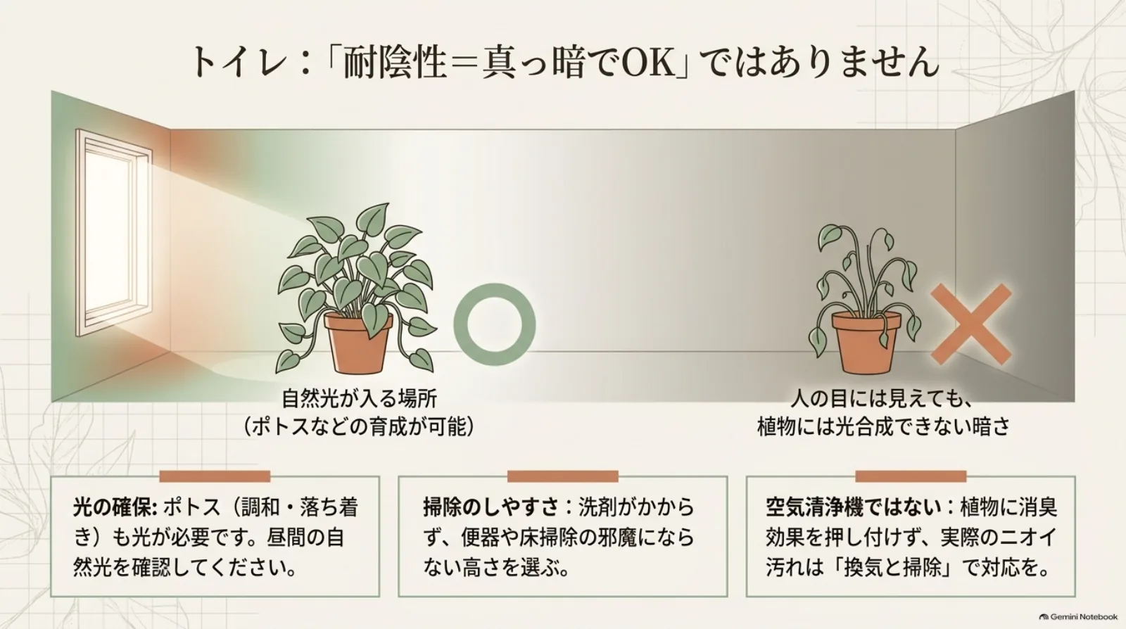 自然光が入る場所と植物には暗すぎる場所を比較し、ポトスにも光が必要なこと、掃除しやすい配置、清掃と換気の大切さを示した図