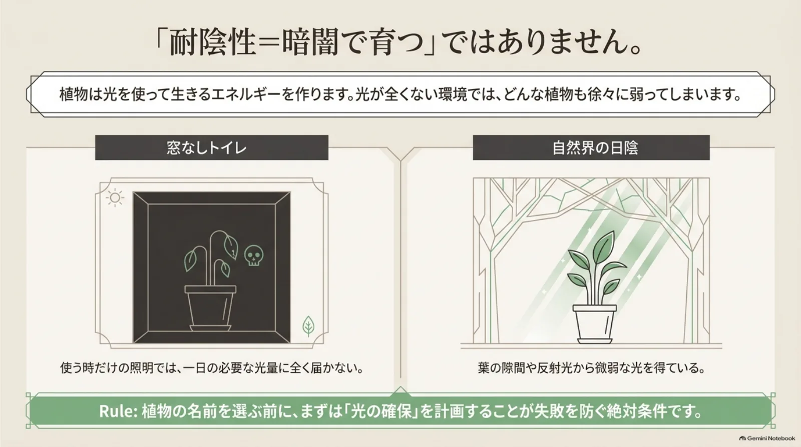 窓なしトイレと自然界の日陰を比較した図。自然の日陰には弱い光が届くため、耐陰性のある植物にも光の確保が必要。