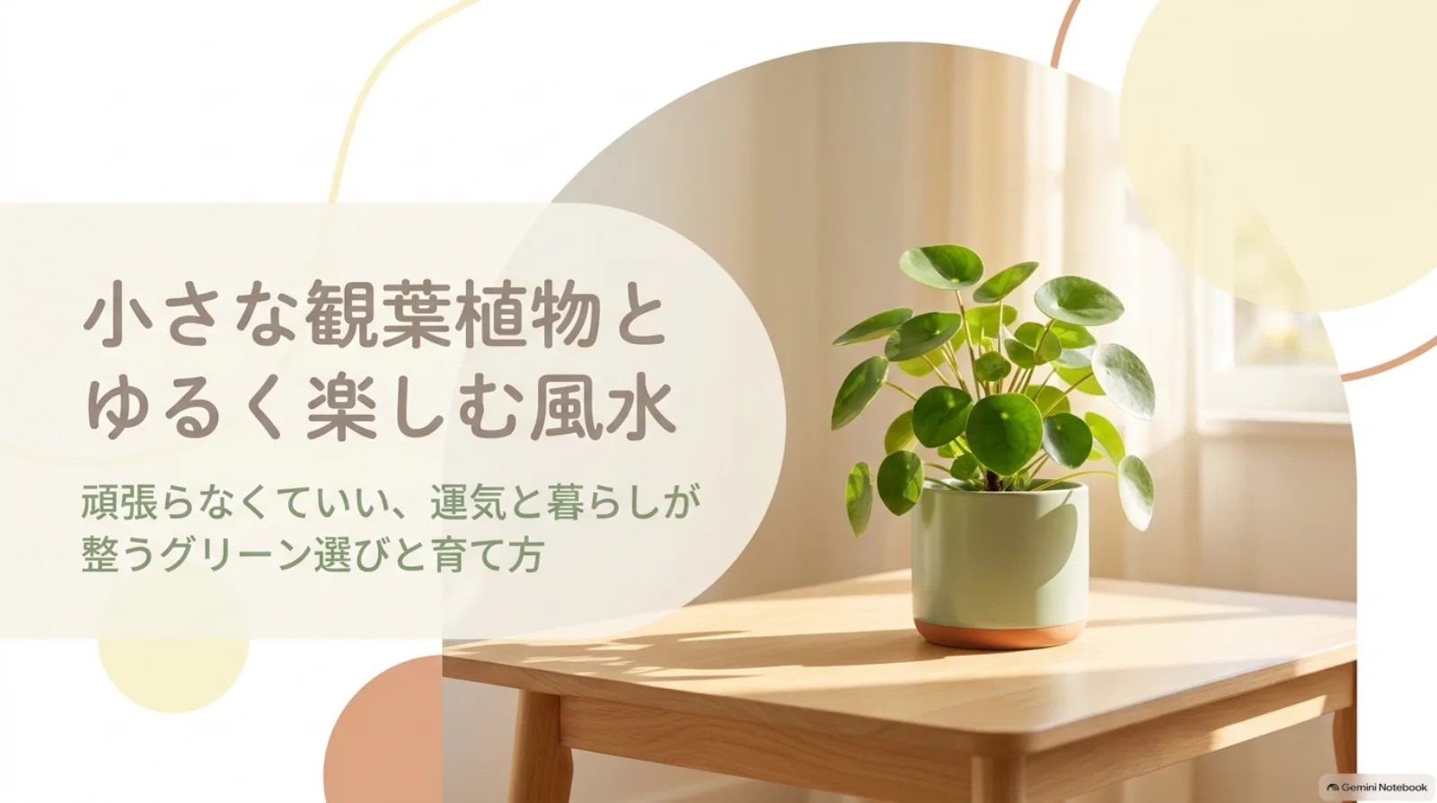 明るいリビングのテーブルに置かれた小さな観葉植物と、風水を無理なく楽しむという記事テーマ